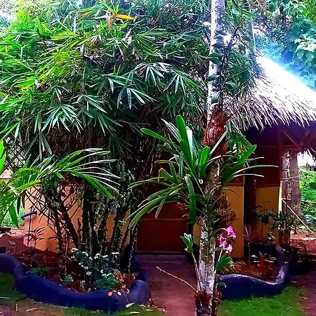 Lennon'S Place Backpacker Hostel-2